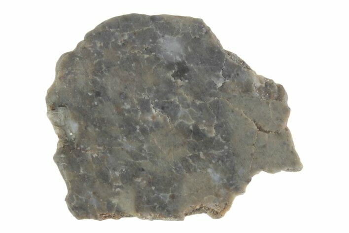 Lunar Meteorite ( g) Slice - Laayoune #381713